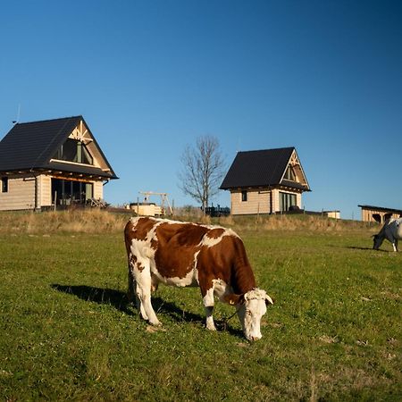 Osada Janosika Jacuzzi Drewniany Domek Na Odludziu Klikuszowa Exteriér fotografie